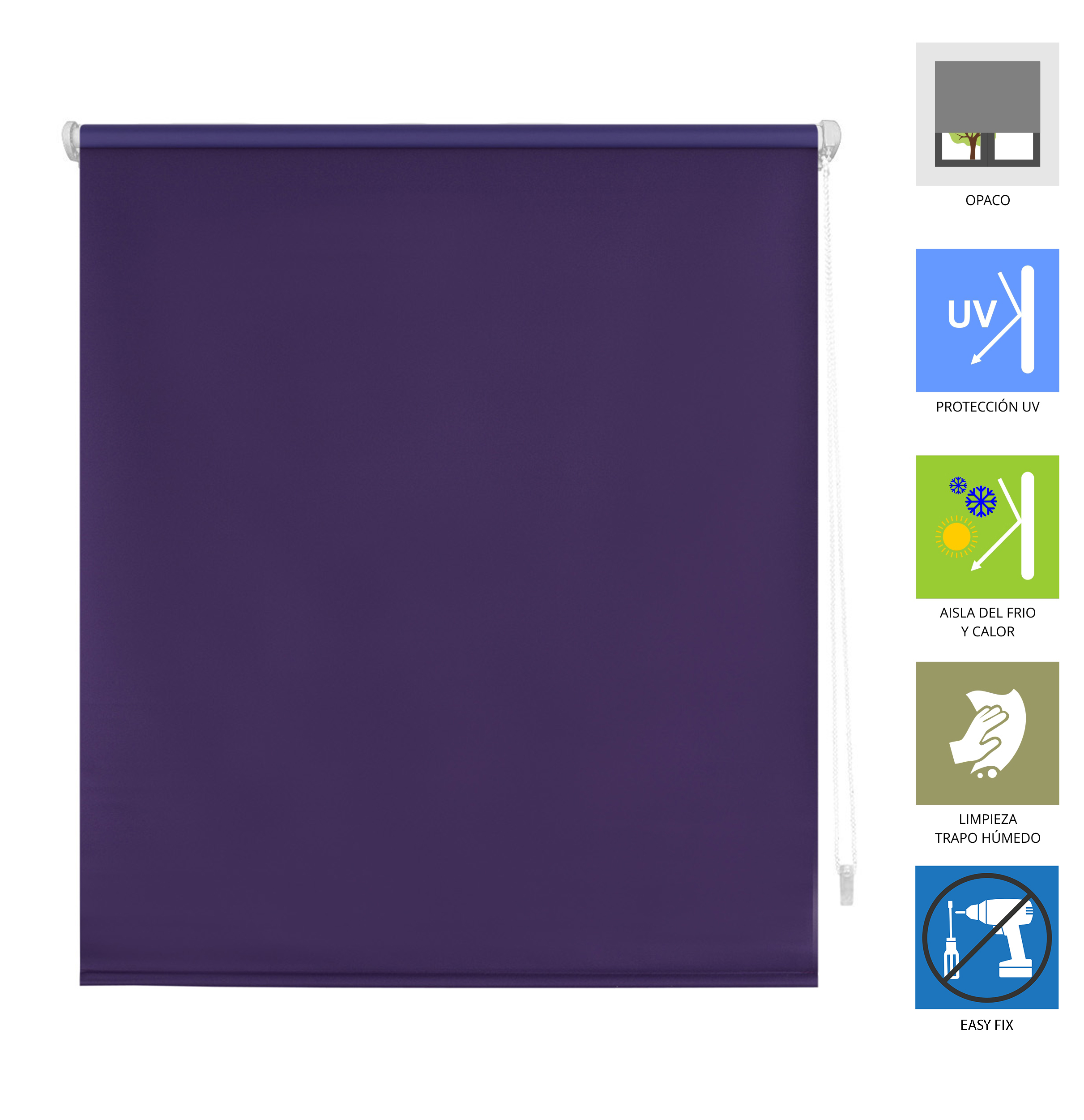 124408_211-VIOLETA_P