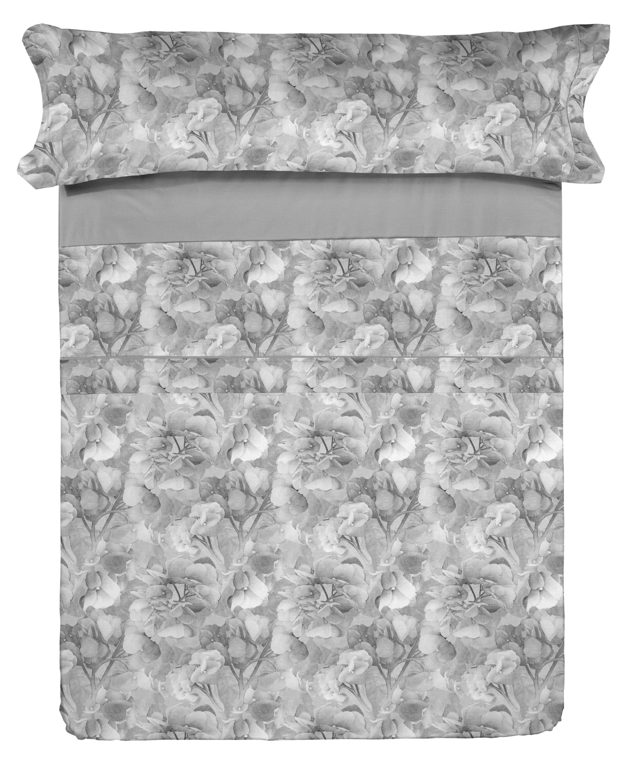 TANIA c5 sábana cenital